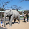 <span itemprop="headline">ミモザの日と東山動植物園</span>