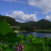 知明山登頂・一庫ダム周遊