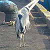 いっかげつぶりの釣り！