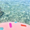 今年最後の海へ向かう☺︎館山の海でシュノーケル！