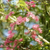 夏が終わりそう
