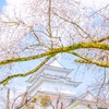 桜旅 小田原編