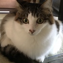ｍ’s blog