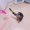 予想が違った！！！！！？？？？