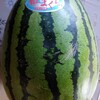 夏の水分補給は、大事です🍉