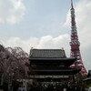   先週は東京と静岡へ桜桜〜