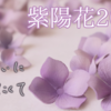 紫陽花･2025 Vol.1｜革花あじさいアクセサリー制作開始