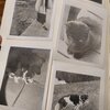 タイニープリントで遊ぶ