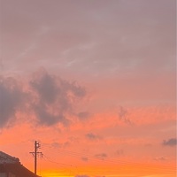 晴れてきました