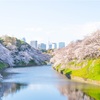 桜旅 千鳥ヶ淵編
