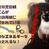 無自覚にエネルギーが枯渇していく　搾取し続けるのは心の中に生き続ける親の姿