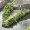 【小田原市】鴨宮駅から酒匂海岸まで歩いてみた（動画あり）