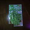 【トマト&ルッコラ&スープセロリ栽培記録】200419 トマトを引っ越し、空き地にスープセロリの種を