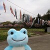 しーたん　初めてのこいのぼり