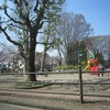 矢川上公園(東京都国立市)