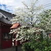 2019.04.27　大慶寺～神社