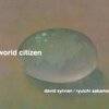 David Sylvian "World Citizen"