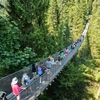 【カナダ】バンクーバー旅行記（７）キャピラノ吊り橋 / Capilano Suspension Bridge，シーフードレストラン"Cardero's"