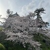 今年も小田原