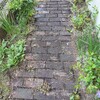 レンガの小道を美しく：庭の花とグランドカバー