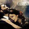 全身麻痺の男が最後に願ったこと〜映画『Guzaarish』【バンサーリー監督特集その1】