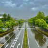 【梅雨入り】大雨の午前中は・・・