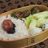 地味地味弁当