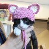 耳を失った子猫にボランティアが猫耳キャップをプレゼント【優しい世界】