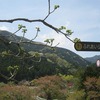 せせらぎ橋_ふれあい公園（埼玉県飯能市）