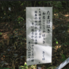 万葉集の世界に飛び込もう（その３２２７）―万葉一日一葉　国分寺万葉庭園（９５）―たまばはき