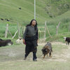 「オールド・ドッグ」ཁྱི་རྒན། "Old Dog"（映画で見る現代チベット　チベット映画特集）劇場鑑賞