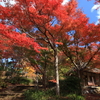 題名「朱色に染まる」