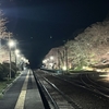 舞木駅の桜