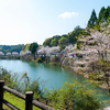 「内之田池」と「遠見番山」に行ってきました