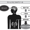 アレルギーについて⑤