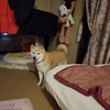 クリンへの思いは尽きなくて・・・1
