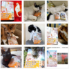 皆さんの猫さん写真と本の画像をInstagramに投稿しています!!　2020年12月14日までの掲載分&猫さん小説の依頼をお待ちしております!!