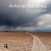 「Migration」Antonio Sanchez
