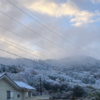 雪情報母の里から特急便