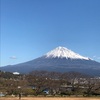 目標に近づけて、しかも疲弊したり犠牲をはらったりせず、幸せに暮らす方法が分かった気がする！