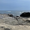 初めて三浦海岸や三崎口に行ったし、また行きたくなった