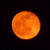 赤い月が出ています