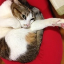 meomeの140文字じゃ足りない日記