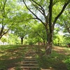 栗山公園(東京都小金井市)