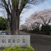 #243 やっぱり桜は青空に似合うぜ！秋留台公園 秋川の桜