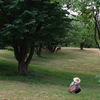 公園