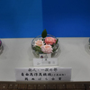 大阪ばら展２０２４　２日目