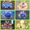 2024年4月にゲットした色違いポケモンたちまとめ