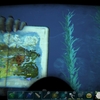 この海はバシロじゃないと無理みたい【ARK　ちょこっとクリスタルアイルズ　その１１　免疫のアーティファクト】