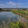 芦ヶ池（奈良県大和郡山）